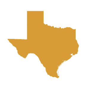 texas state outline